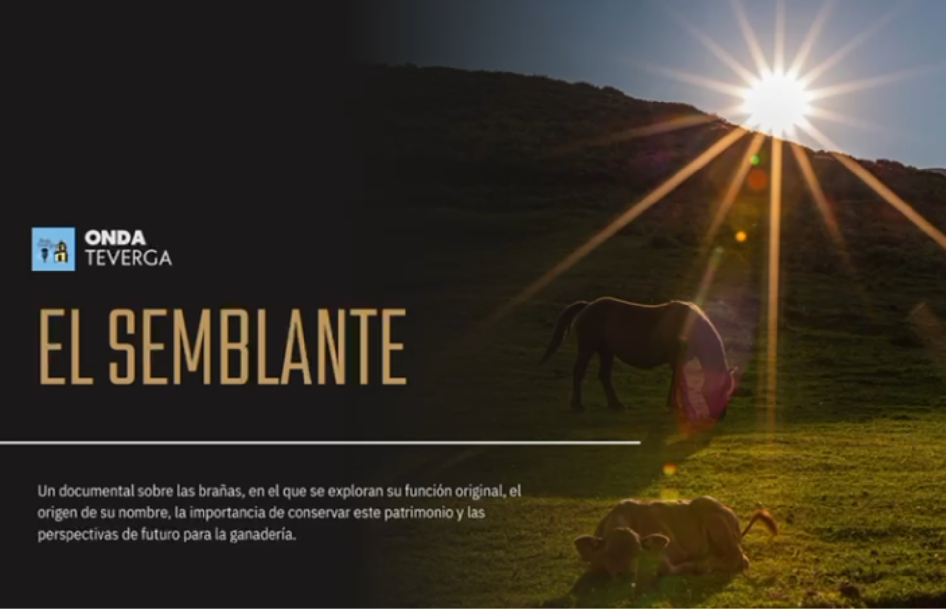 Documental &laquo;El semblante&raquo;