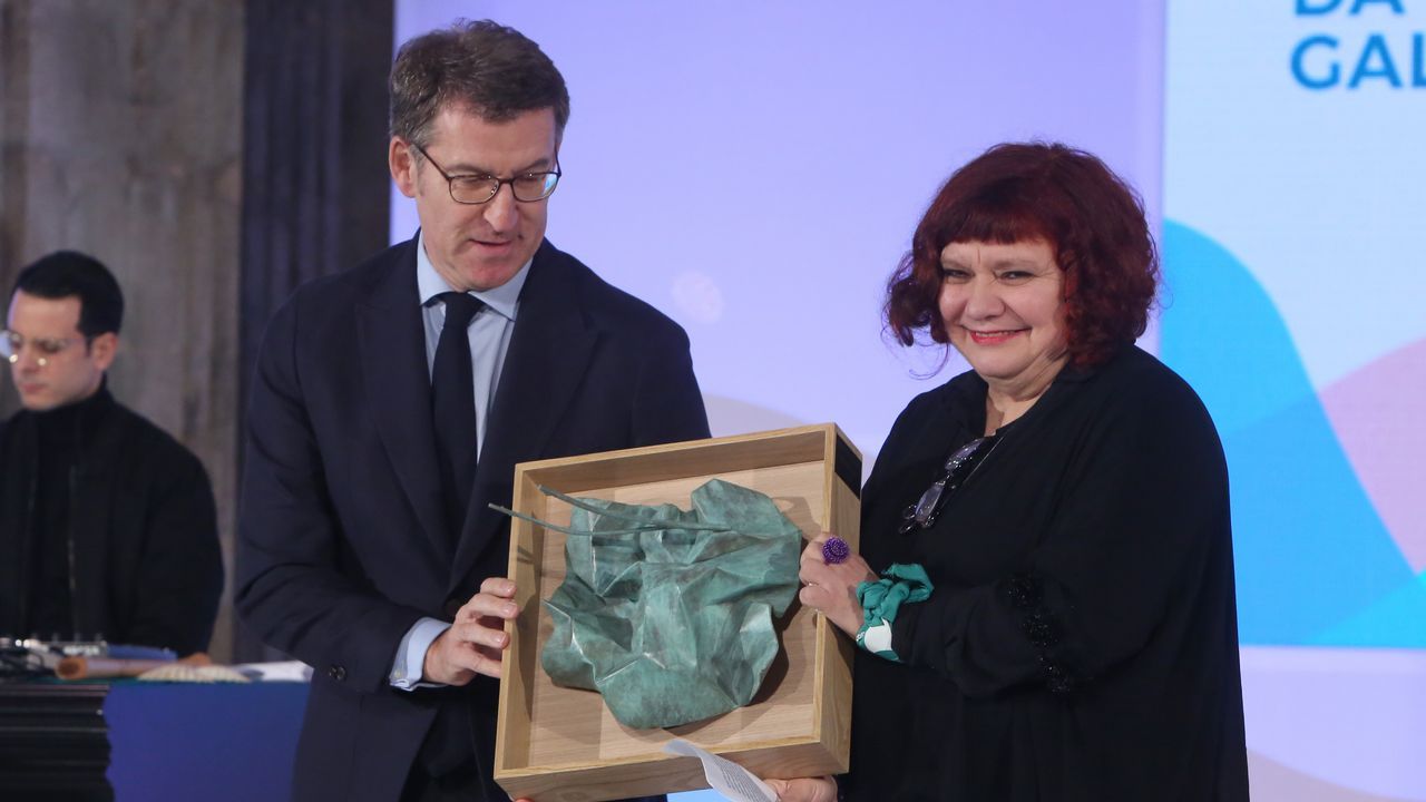 Feijoo entrega o premio a Luz Darriba