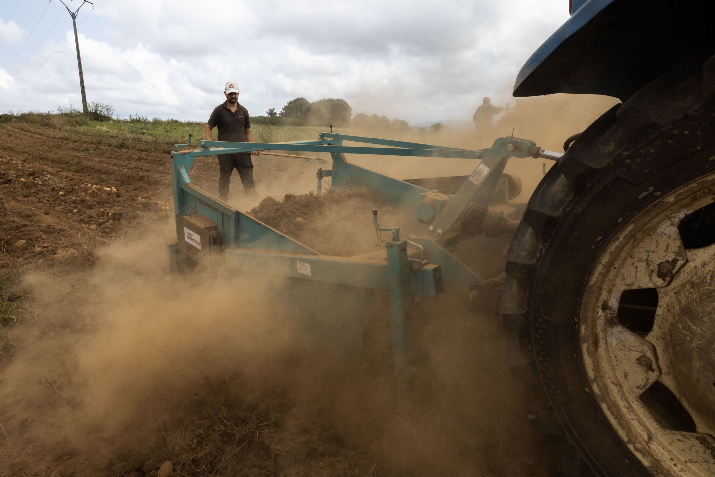 Traballando entre polvoeira. Un home recolle patacas no medio dunha gran polvoeira debido  seca deste vern. 21/08/2025