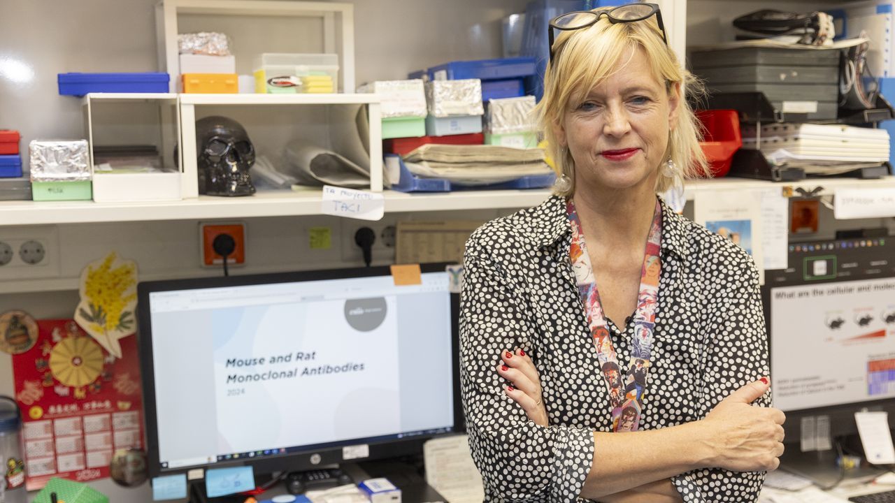 Giovanna Roncador, investigadora del CNIO que ha desarrollado los primeros anticuerpos para visualizar las c�lulas reguladoras del sistema inmunitario, el descubrimiento que ha ganado el Nobel de Medicina
