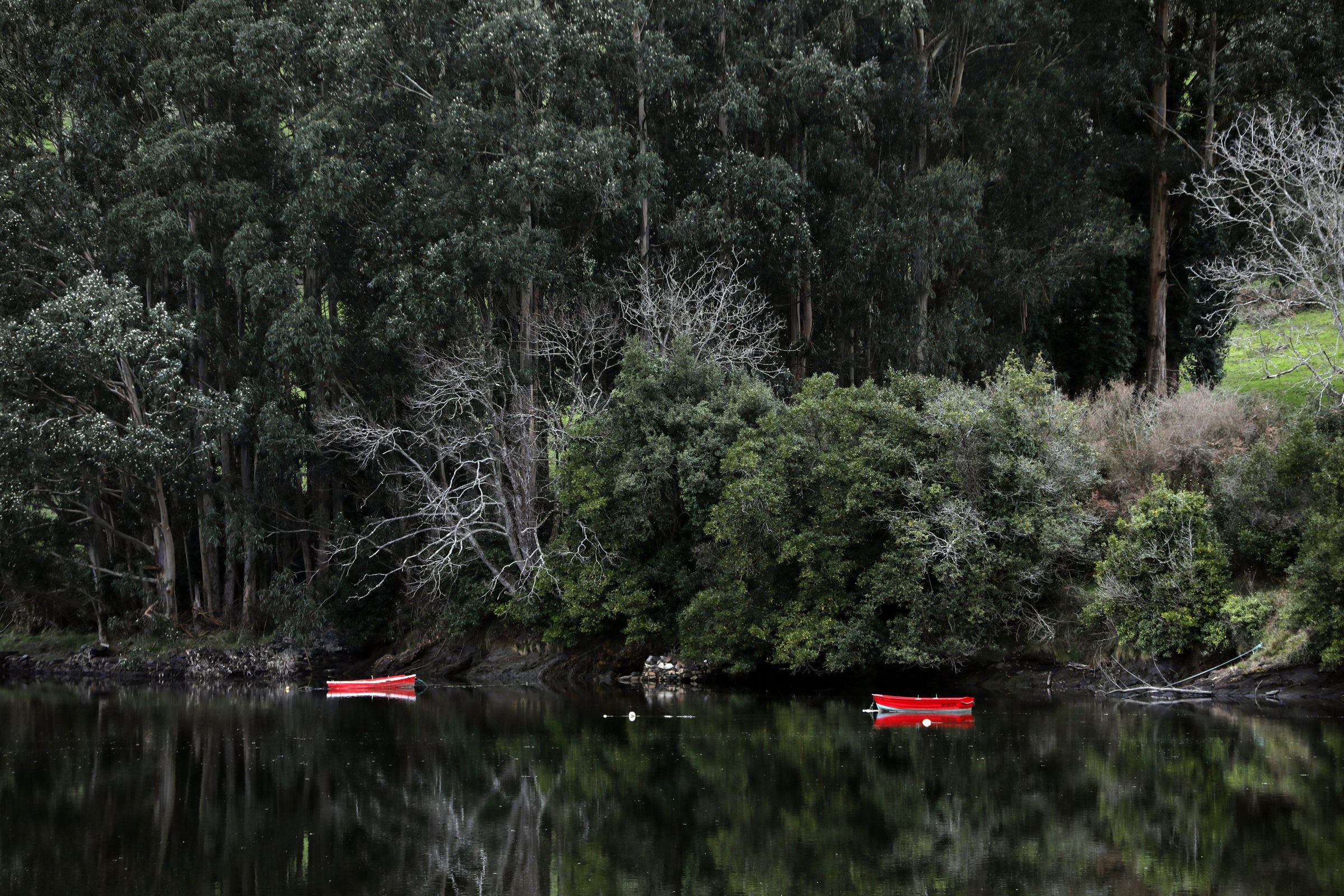 Quietude no ro Landro. Viveiro. 12/02/2025