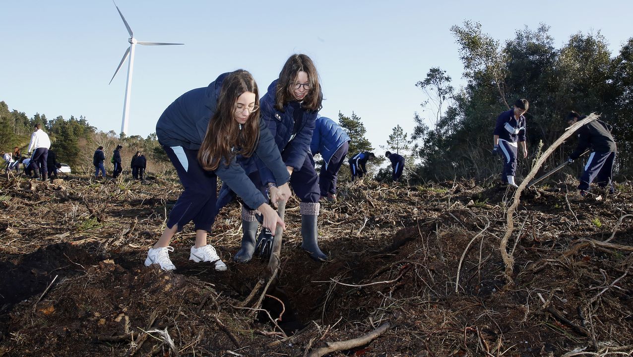 Salida de reforestación en Lousame-Noia, plantación de árboles en Froxán alumnos del colegio Colegio San José de Cluny