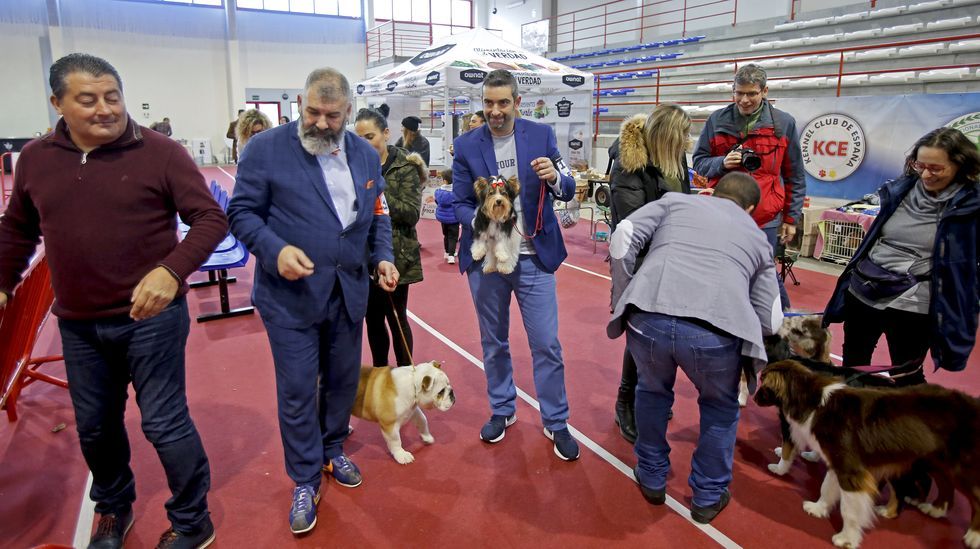 III Exposición Internacional Canina de Ponte Caldelas