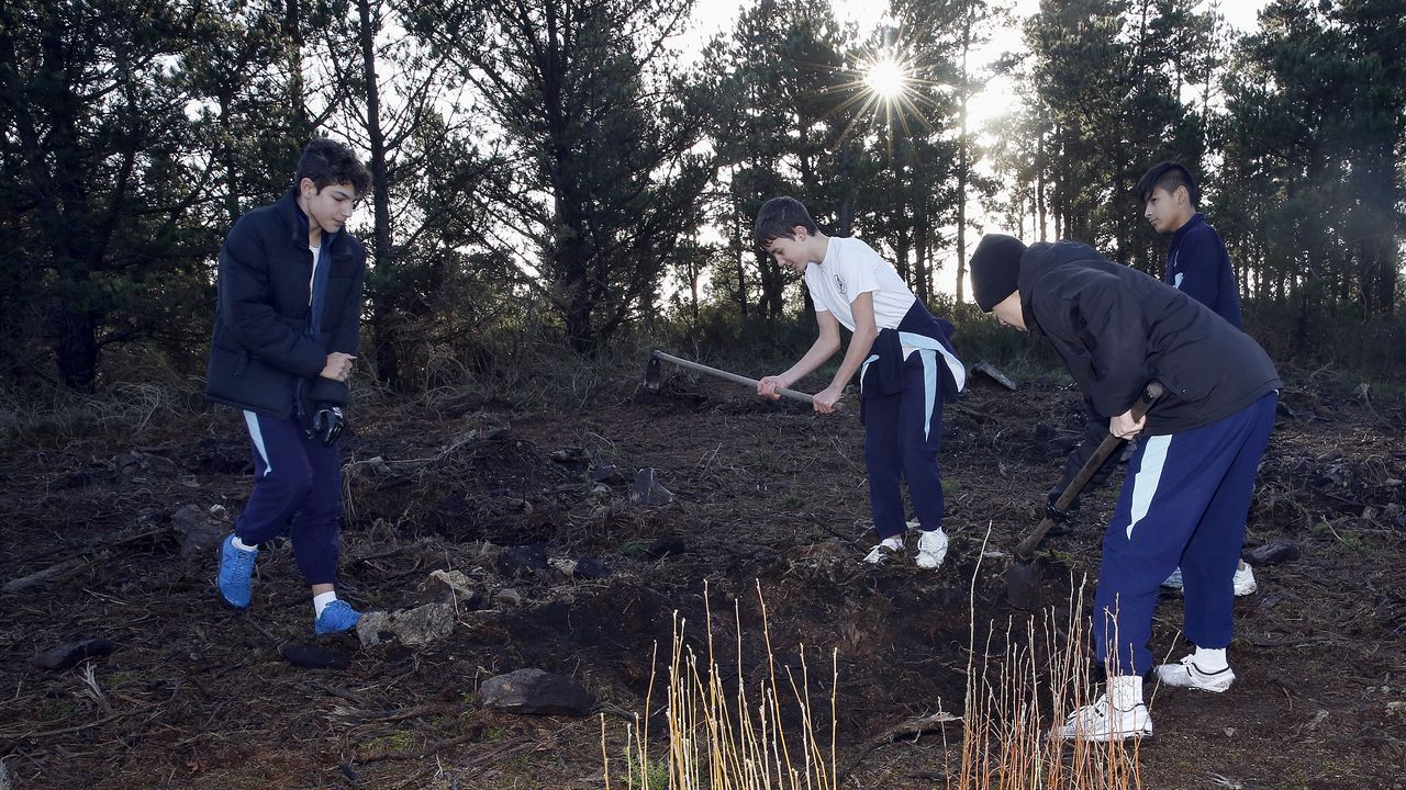 Salida de reforestación en Lousame-Noia, plantación de árboles en Froxán alumnos del colegio Colegio San José de Cluny