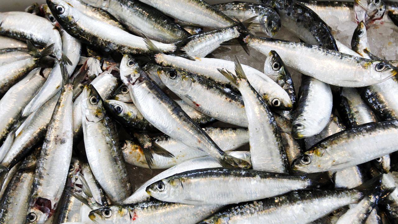 Plaza de Abastos. SARDINAS DO XEITO. San Juan