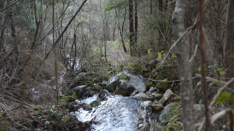Monte Xiabre, entre Vilagarcía, Catoira y Caldas