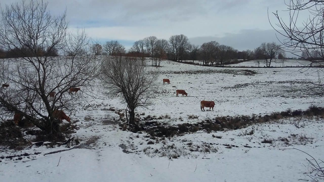 Temporal de nieve en Trives