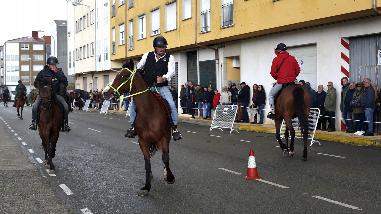 Feria caballar en las Fiestas de San Marcos 2019