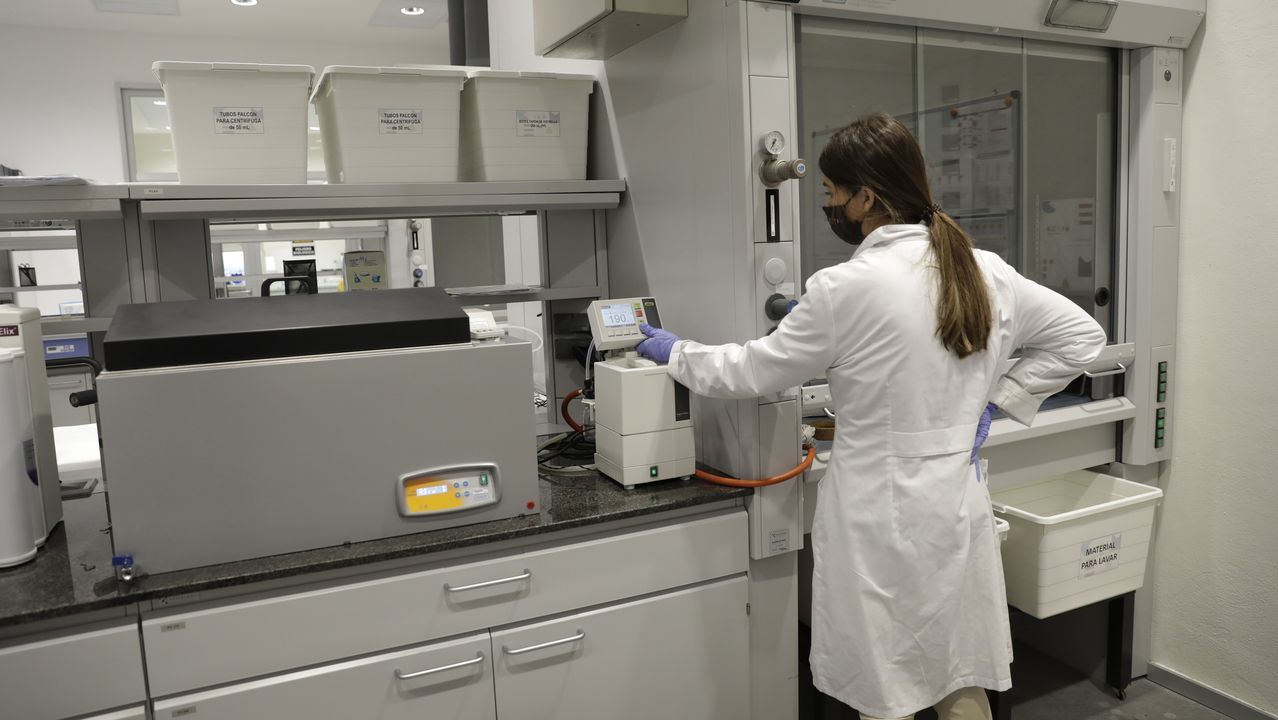 Investigadores del Cetim trabajando en procesos de la industria de la madera