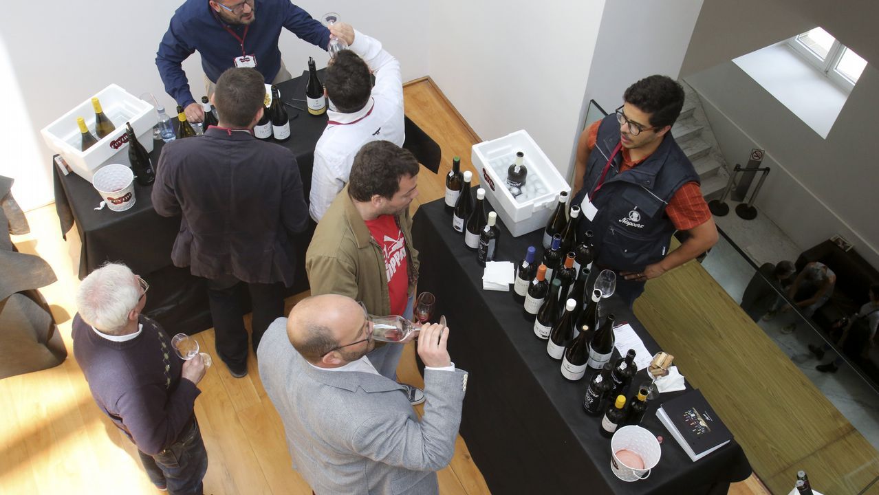 Fevino, cata en el túnel del vino