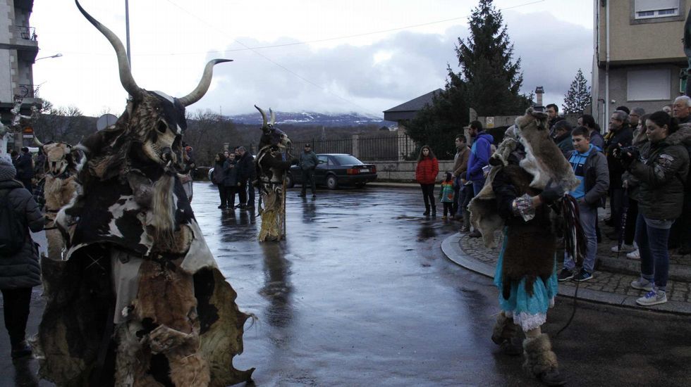 Mascarada ibérica.Cerca de 40 grupos y 800 personas participaron en la mascarada ibérica de Viana do Bolo
