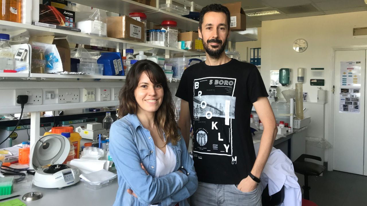 vides asturias uvas.Por la izquierda, Clea B�rcena y Pedro Moral Quir�s