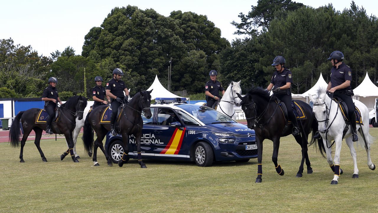 Exhibicion de la Policía Nacional para los escolares de Ribeira con helicoptero, caballería, perros de rastreo