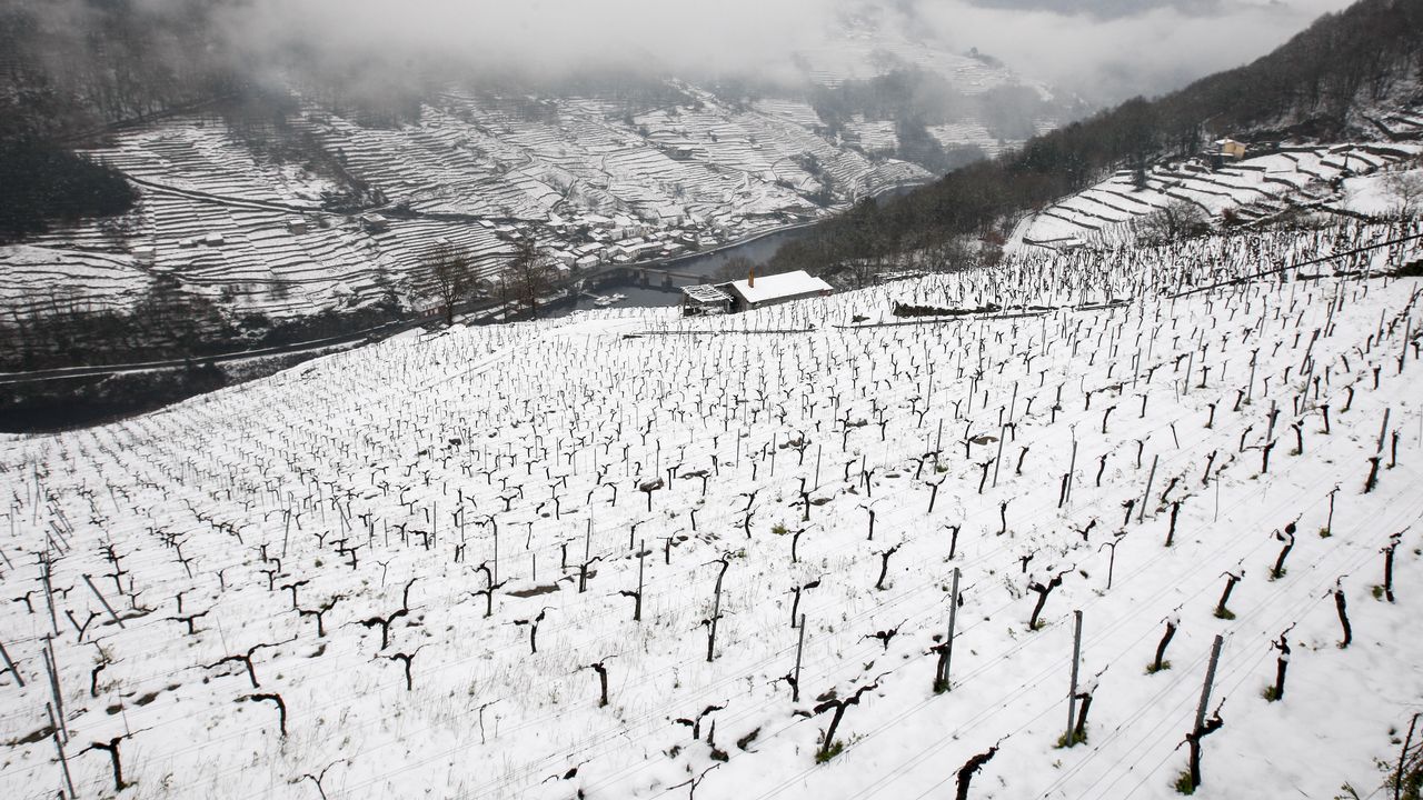 La nieve que deja el temporal cubre los bancales de las viñas de la Ribeira de A Ermida.
