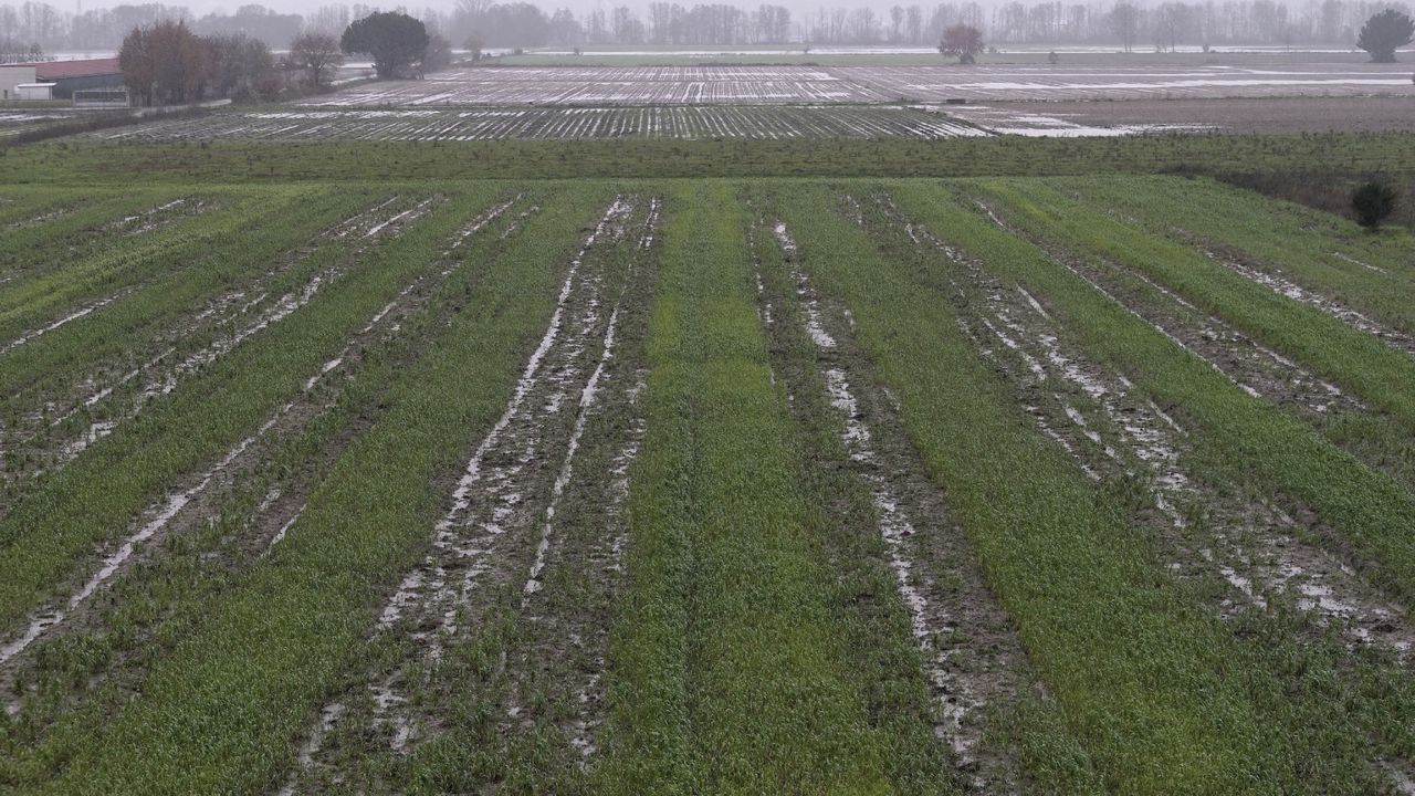 ASÍ HA CASTIGADO EL TEMPORAL A OURENSE.Las comarcas de A Limia y de Verín han sufrido daños en el campo y en edificaciones