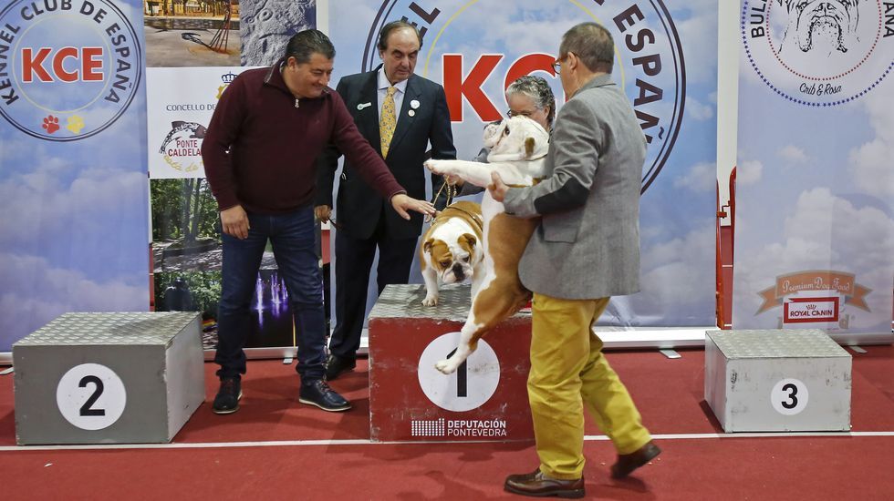 III Exposición Internacional Canina de Ponte Caldelas