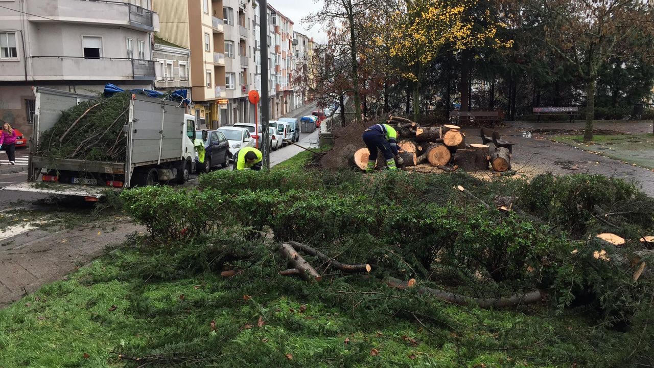 ASÍ HA CASTIGADO EL TEMPORAL A OURENSE.Operarios municipales trabajan en el parque de las Zapatillas, en la capital