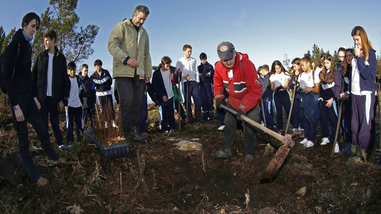 Salida de reforestación en Lousame-Noia, plantación de árboles en Froxán alumnos del colegio Colegio San José de Cluny