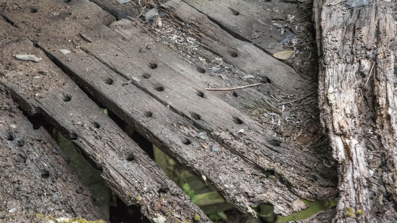 .Tablas de un canizo, la plataforma donde se ponen a secar las castañas, en uno de los sequeiros abandonados