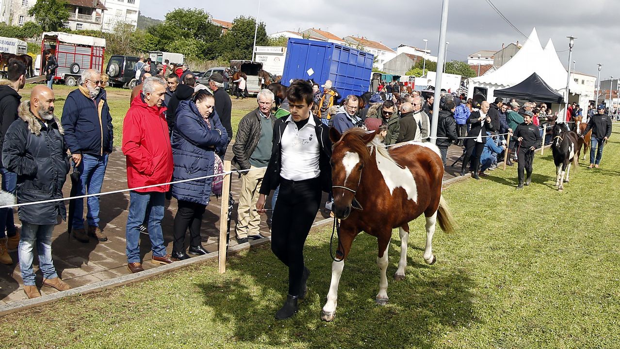 Feria caballar en las Fiestas de San Marcos 2019