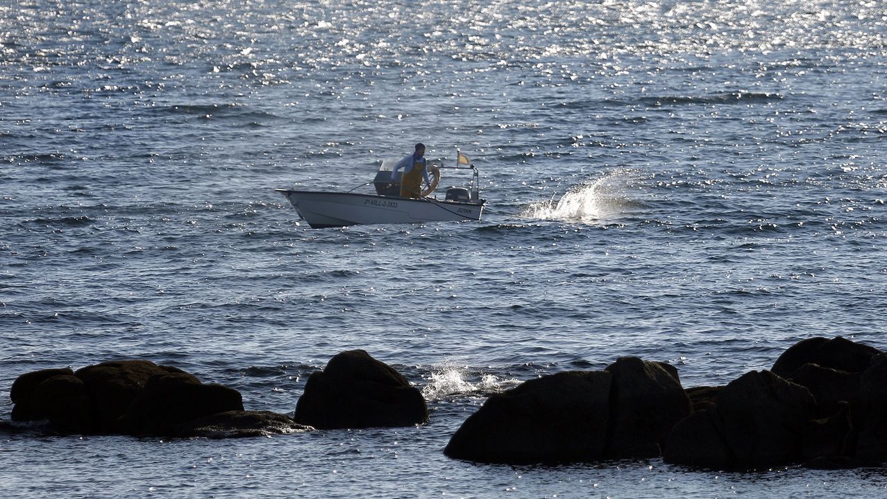 Arranca la la vista preliminar del caso Diana Quer.Clara Millares, en el mismo instante en que los �rbitros la declararon vencedora