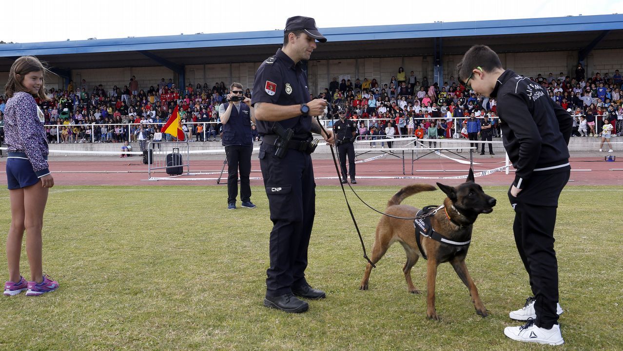Exhibicion de la Policía Nacional para los escolares de Ribeira con helicoptero, caballería, perros de rastreo