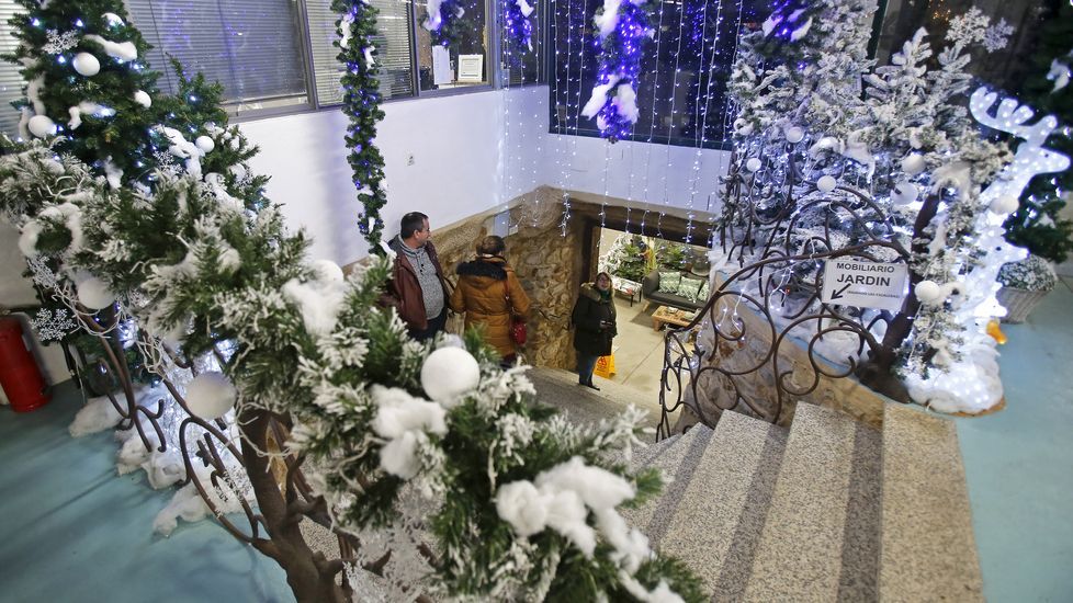 Navidad en Viveiros O Piñeiro