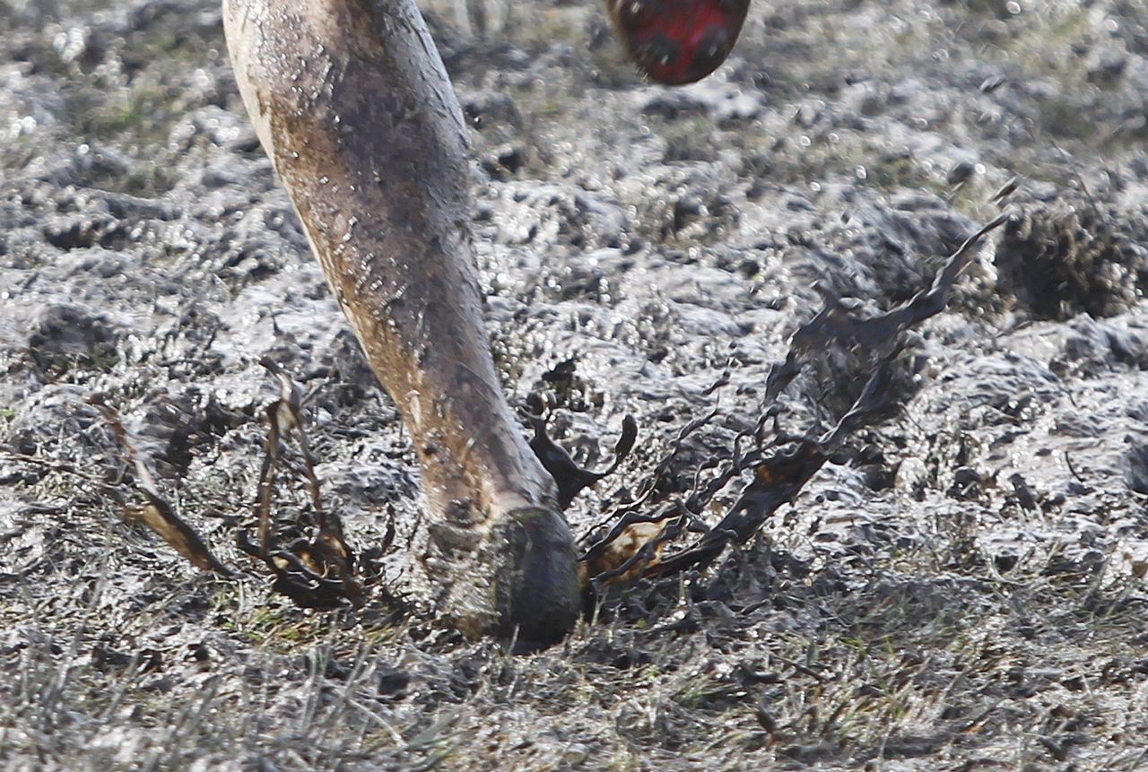 Tr�iler - ��rase una vez en Hollywood�.As rutinas son necesarias desde os primeiros anos de vida